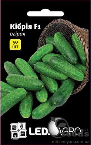 Насіння огірка 