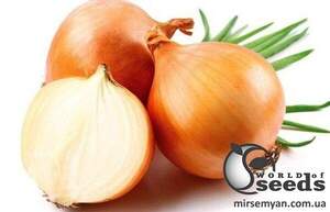 Цибуля Кенді F1 - 20 г А (Seminis)