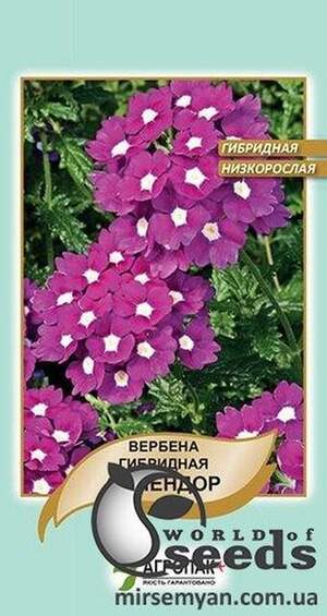 Вербена гібридна низькоросла Сплендор - 0,1 г А Вербена гібридна низькоросла Сплендор - 0,1 г А