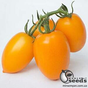Насіння томату TS 02-0477 F1 250 с. Solare Sementi