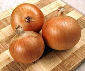 Цибуля саджанка Болеро, 1 кг (Nederland)