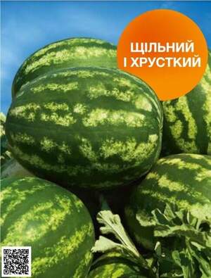 Насіння кавуна Балатон F1 1000 н. (Syngenta) Насіння кавуна Балатон F1 1000 н. (Syngenta)